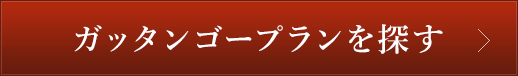 ガッタンゴープランを探す