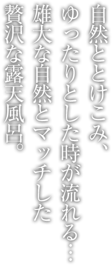 自然ととけこみ、ゆったりとした時が流れる…雄大な自然とマッチした贅沢な露天風呂